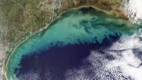 Source: Treehugger The Gulf of Mexico Dead Zone