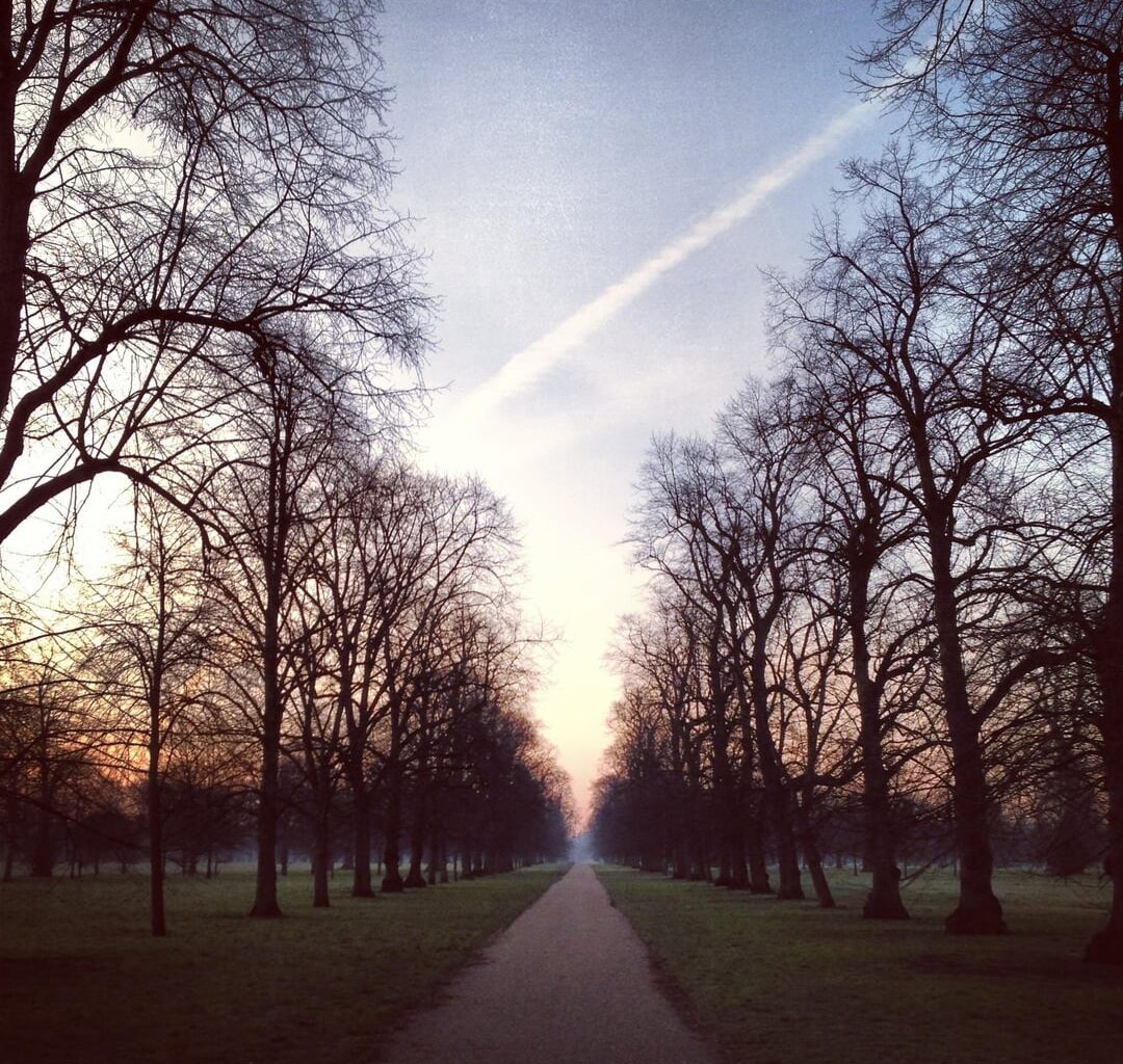 I don’t know why but this exact spot in Kensington Gardens is probably my favourite in London. Some of the images I’ve taken from 2014-2024