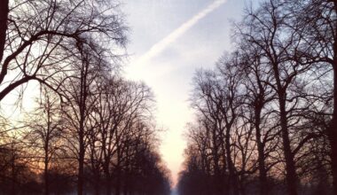I don’t know why but this exact spot in Kensington Gardens is probably my favourite in London. Some of the images I’ve taken from 2014-2024