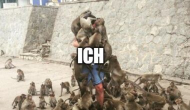 Ich_iel