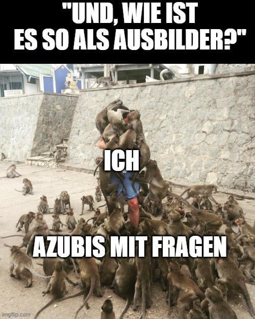 Ich_iel