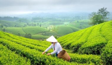 Asia Warming at Twice the Global Average: WMO Report