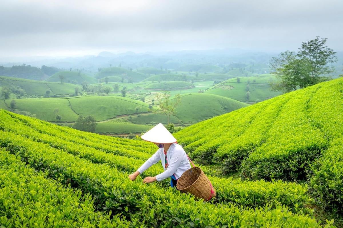 Asia Warming at Twice the Global Average: WMO Report