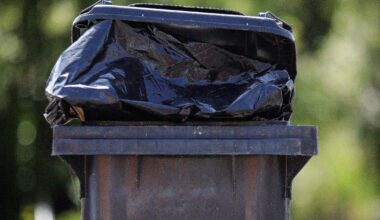 Welsh councils told to only collect rubbish every three or four weeks