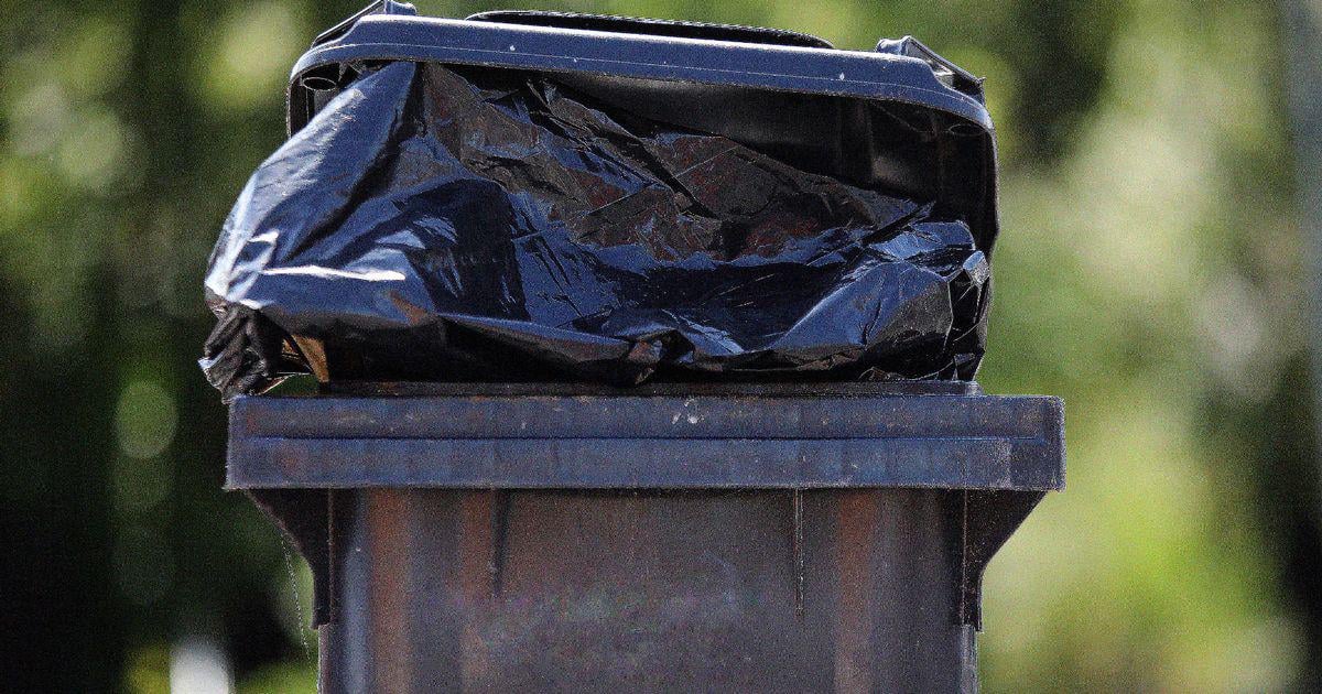 Welsh councils told to only collect rubbish every three or four weeks