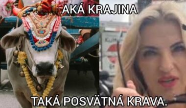 Naša vyhráva