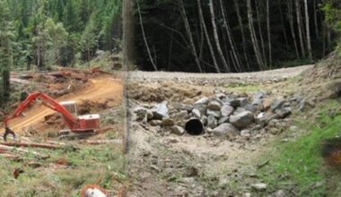Projects recently funded by the California Department of Forestry and Fire Protection promise to reduce wildfire risk, improve ecosystem resilience and enhance carbon sequestration. Image courtesy California Department of Forestry and Fire Protection