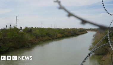 Five musicians murdered in suspected Mexican cartel killing