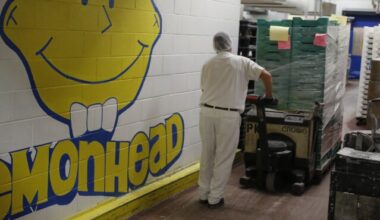 Ferrara Candy Co. Data Breach Lawsuit Revived by Illinois Court