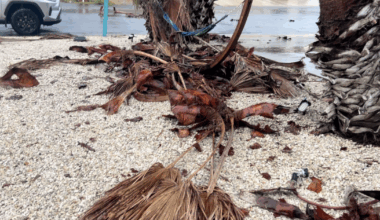 Monday's storms bring mixed outcomes for Padre Island business owners
