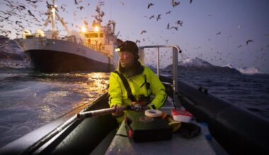 In photographs, scientists revel in the world they seek to discover : NPR