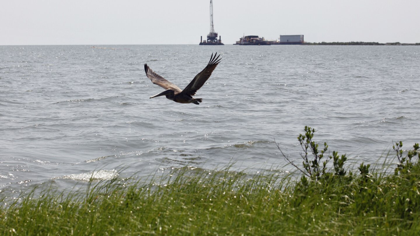 NTSB says Third Coast failed to shut down oil pipeline that leaked into the Gulf for nearly 13 hours