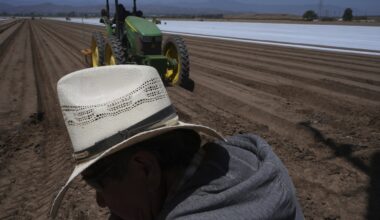 Changing immigration policy baffles businesses