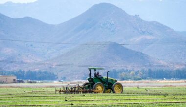 As the summer harvest launches, uncertainty hangs over California fields