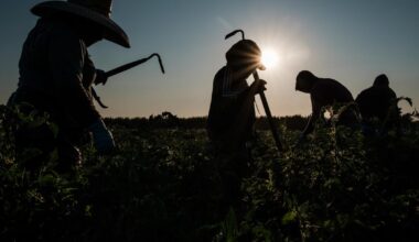 ICE expands immigration raids into California's agricultural heartland