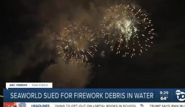 Environmental groups sue SeaWorld over Mission Bay firework pollution