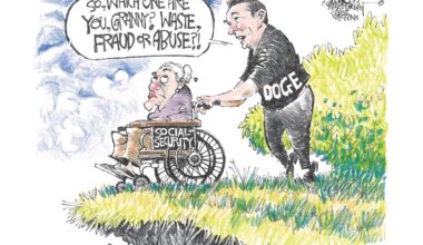 Pro/Con: Deception, destruction the apparent real goals of DOGE - Duluth News Tribune