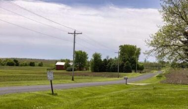 Rural economy softening, but not like 1980s