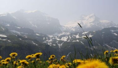 Does anyone have any insight as to when this Canadian wildfire smoke will clear up?