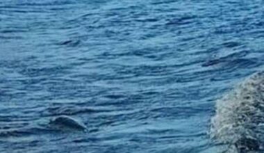Loch Ness Monster 'official sighting' has been recorded by visitor last month