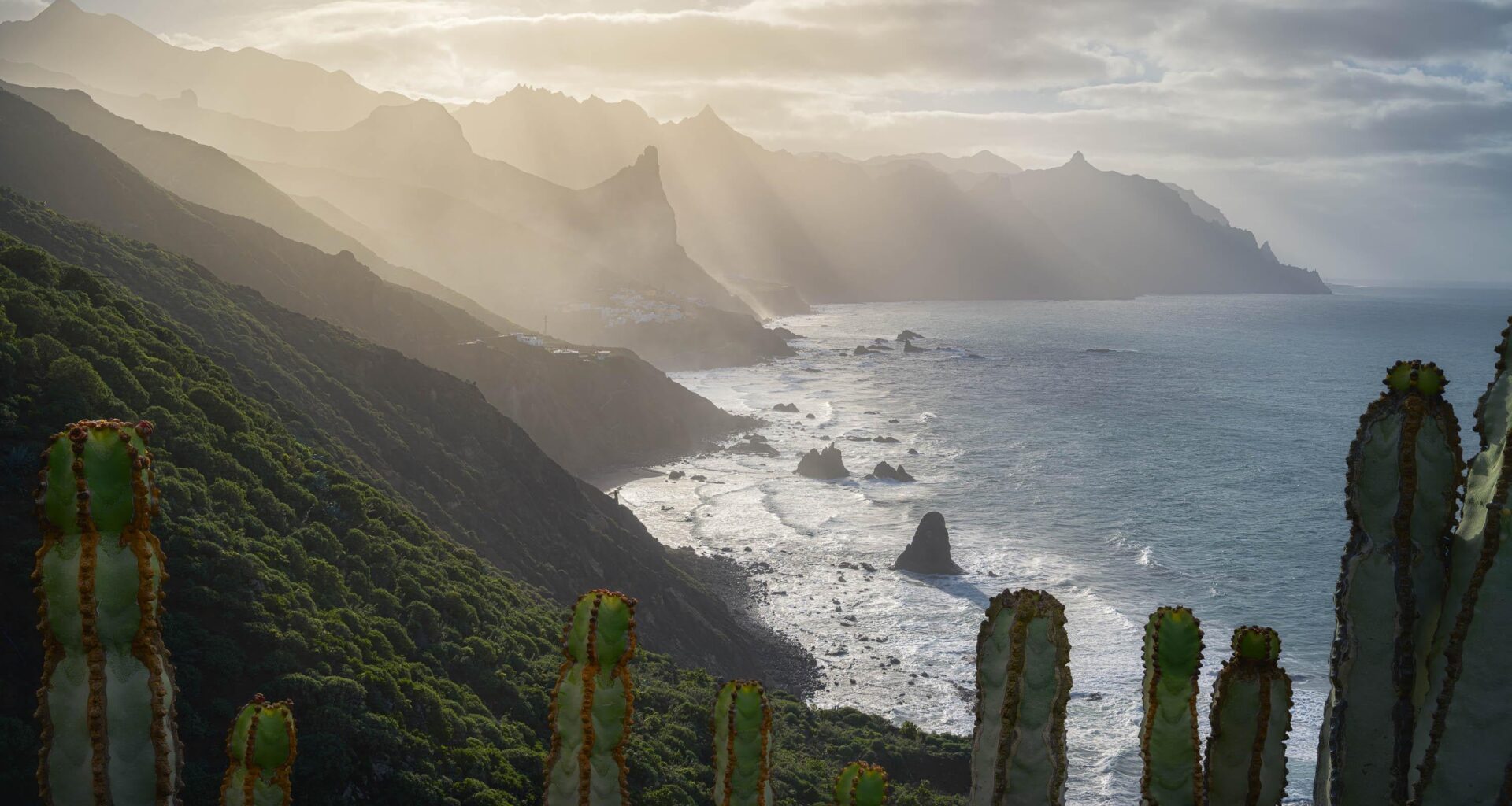 Cardon and the cliffs of Anaga, Tenerife [OC 2000x3000]