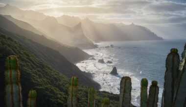 Cardon and the cliffs of Anaga, Tenerife [OC 2000x3000]