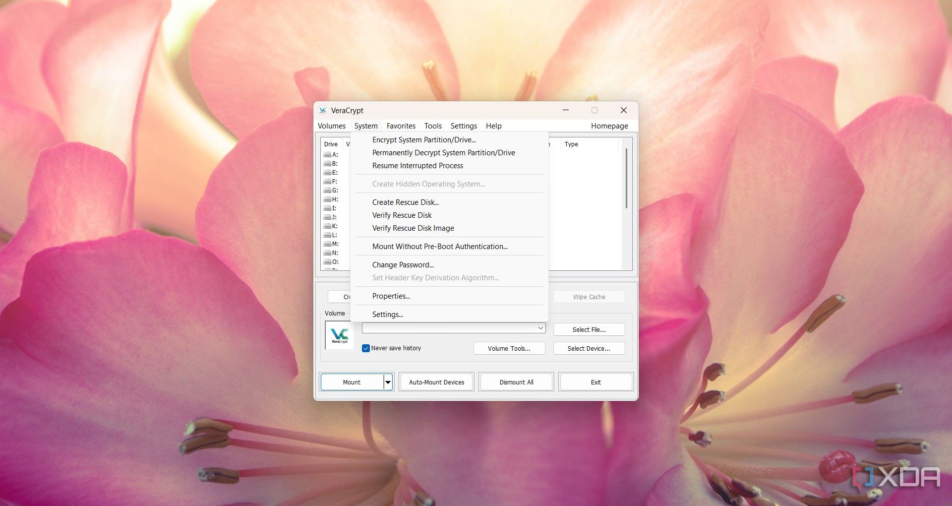 Using the VeraCrypt encryption options