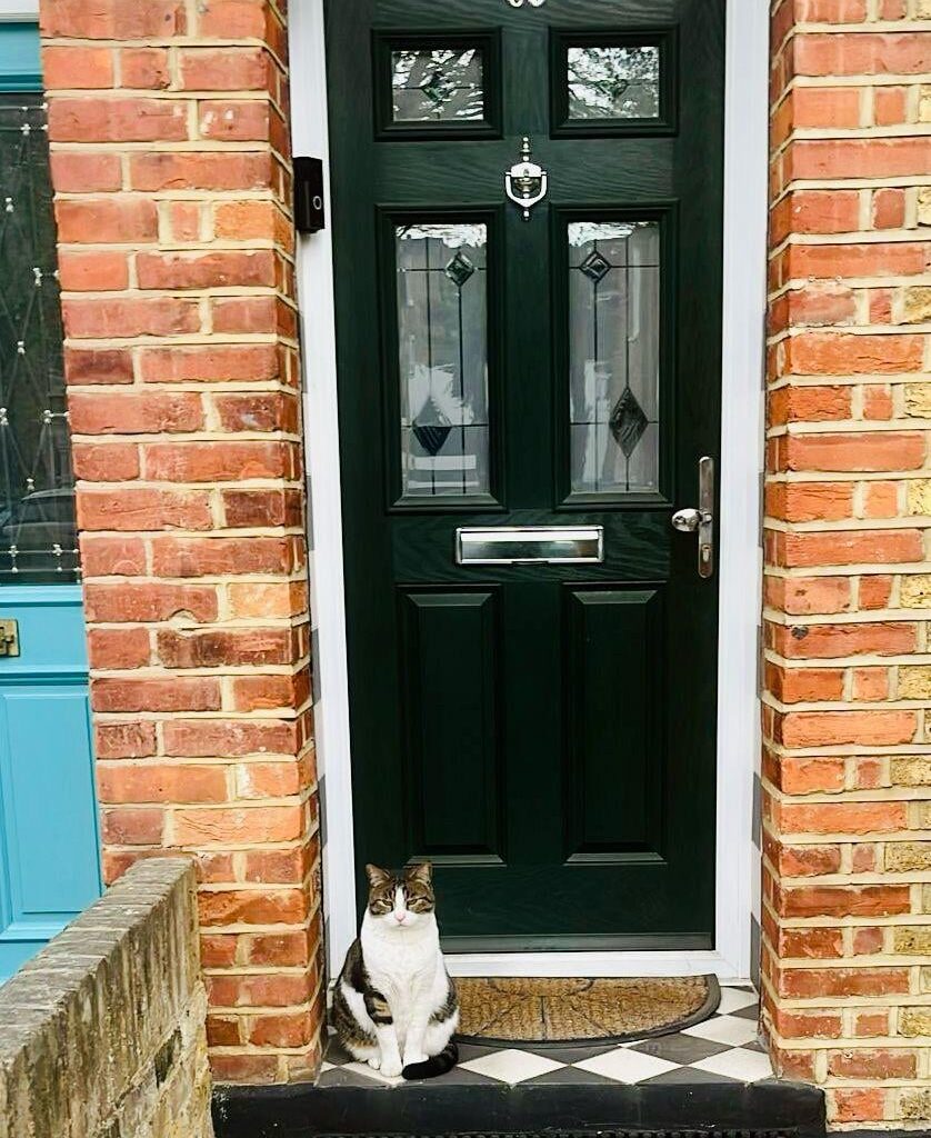 The neighbour’s cat likes to wait for me at my doorstep.
