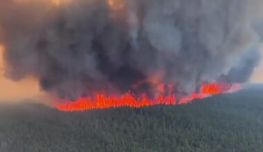 UW study shows how some wildfires could slow global warming