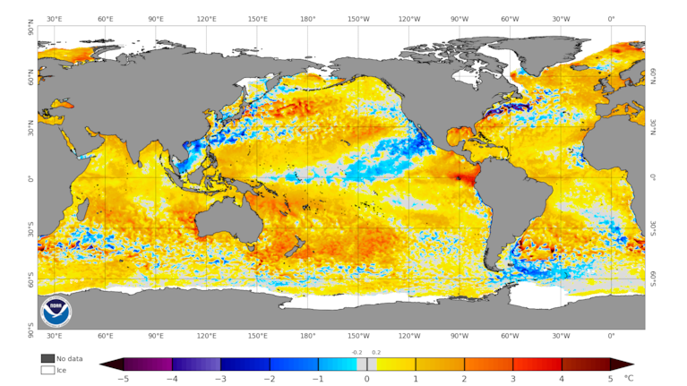 Sea temperatures are generally above average currently. Courtesy NOAA.