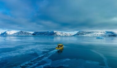 France's president will visit Greenland in a show of EU unity, Danish leader says