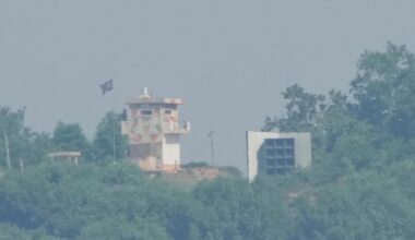 6 Americans detained for trying to send rice and Bibles to North Korea by sea: Police