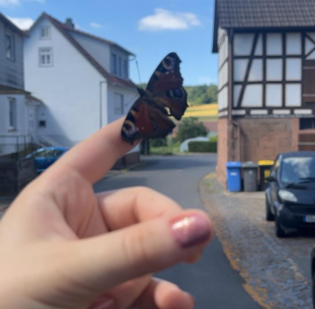 Mein neuer Freund 🦋