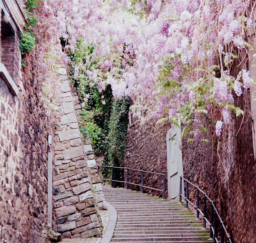 It's a fairytale fucking town, isn't it?