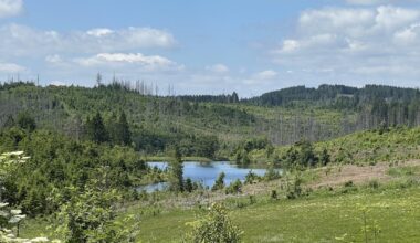 Wanderung durch den Harz