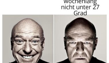 Ich_iel