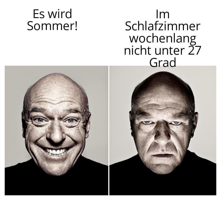 Ich_iel
