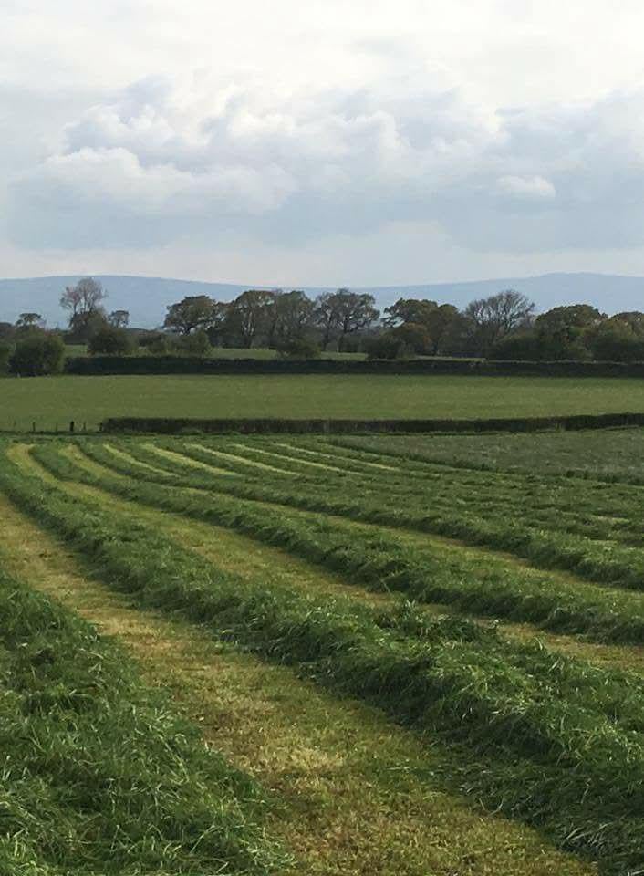 **PUBLIC WARNING** Please do not let your dog's poo on farmer's fields, especially when you see them like this! This is winter food for the cows!!!! You may possibly cause Neosporosis / Abortion of calves which could even lead to a cull. Farmers work hard all year round to look after the cows.