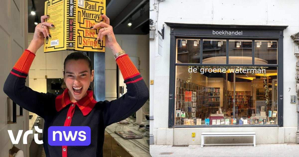 Dua Lipa roept Antwerpse winkel uit tot 'boekhandel van de maand': "Fantastisch compliment"