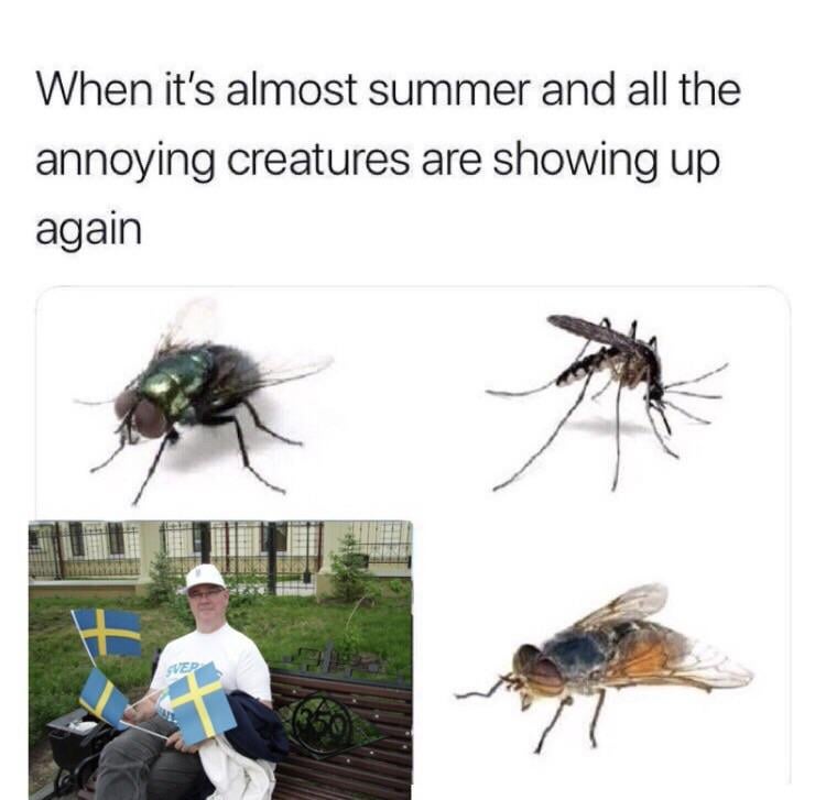 Det er den tid på året mine gutter