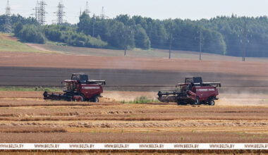 Lukashenko examines performance of Belarusian-made harvesters in challenging weather 