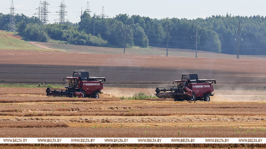 Lukashenko examines performance of Belarusian-made harvesters in challenging weather 