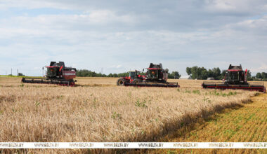 Belarus’ grain harvest reaches 1.75m tonnes