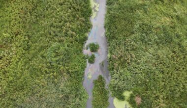Bank of Ireland apologises over oil spill at Dublin site