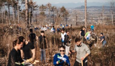 Gorelo je 14 dni, obnavljali bodo 14 let: Požgani Kras se bori za novo podobo