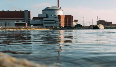 TVO Nuclear Services Caters To All Sizes – Expertise Offered At Olkiluoto Also Benefits SMR Projects