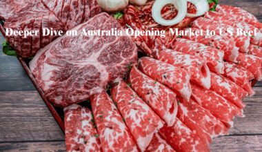 Deeper Dive on Australia Opening Market to US Beef