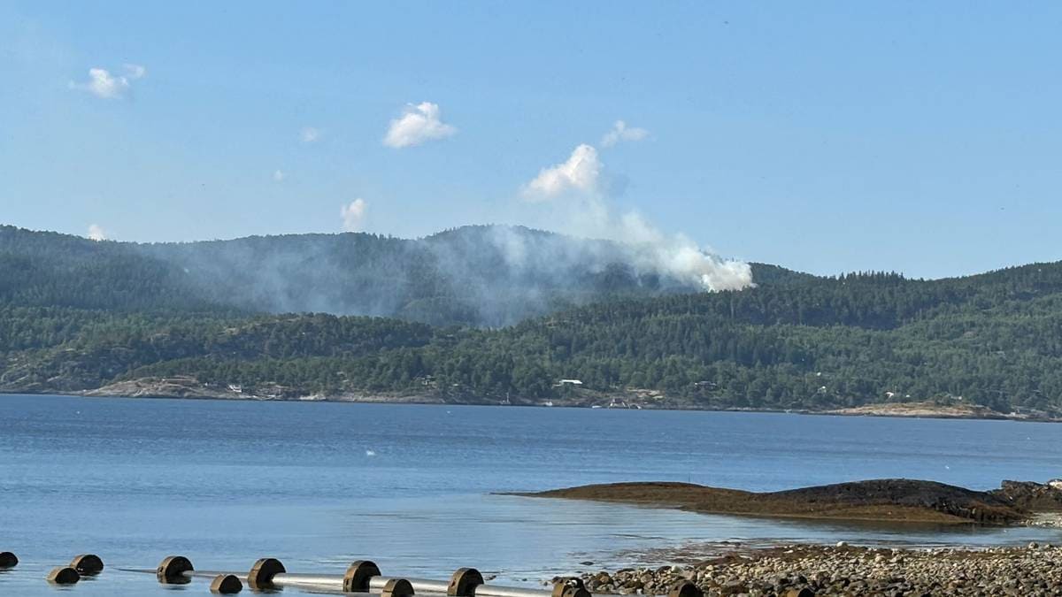 Bildet viser at det ryker fra en skog.