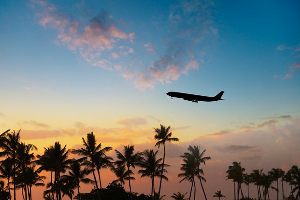 Plane in sky