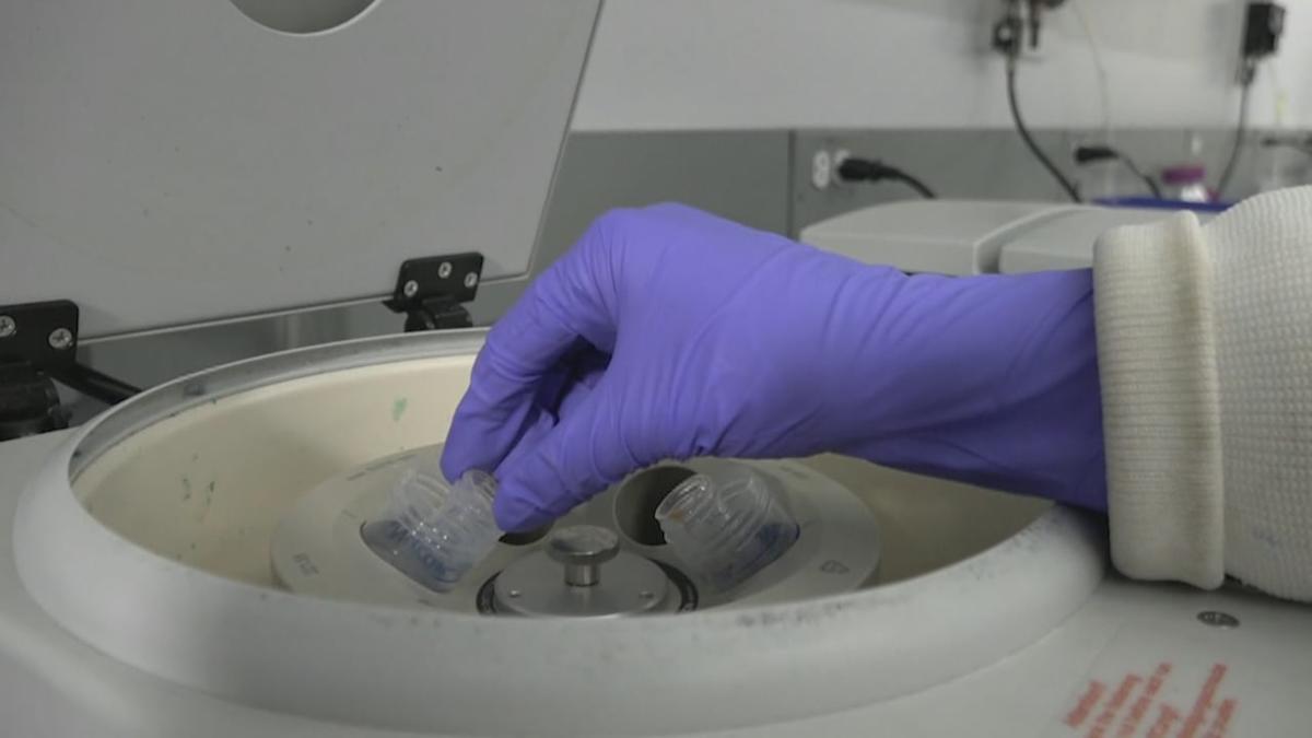 The impact of "forever chemicals" on people and the environment in the North